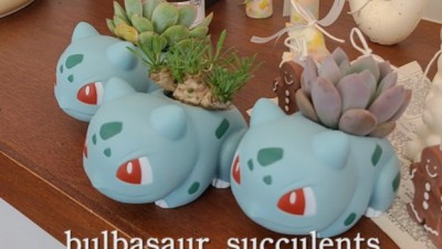 🌿 심쿵주의! 이상해씨 화분 득템 후기 & 꿀팁 대방출! 🌱