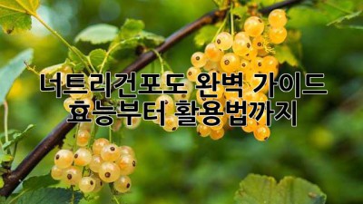 너트리건포도🍇 완벽 가이드: 효능부터 활용법까지!