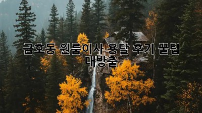 금호동 원룸이사 용달 후기🏠✨ 꿀팁 대방출!