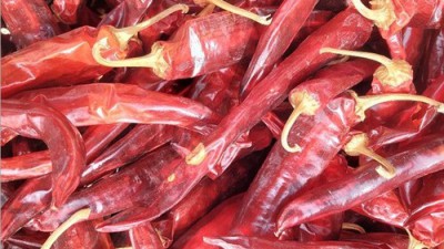 무르실고추마을 🌶️ 엄선된 고추장, 이 가격에 득템할 수 있다니!